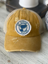 Load image into Gallery viewer, St. Louis Blues hat
